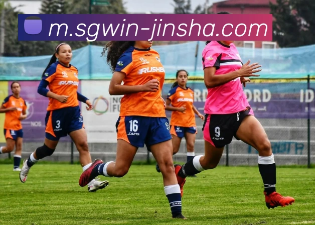 澳门金沙官网APP 高清赛事图